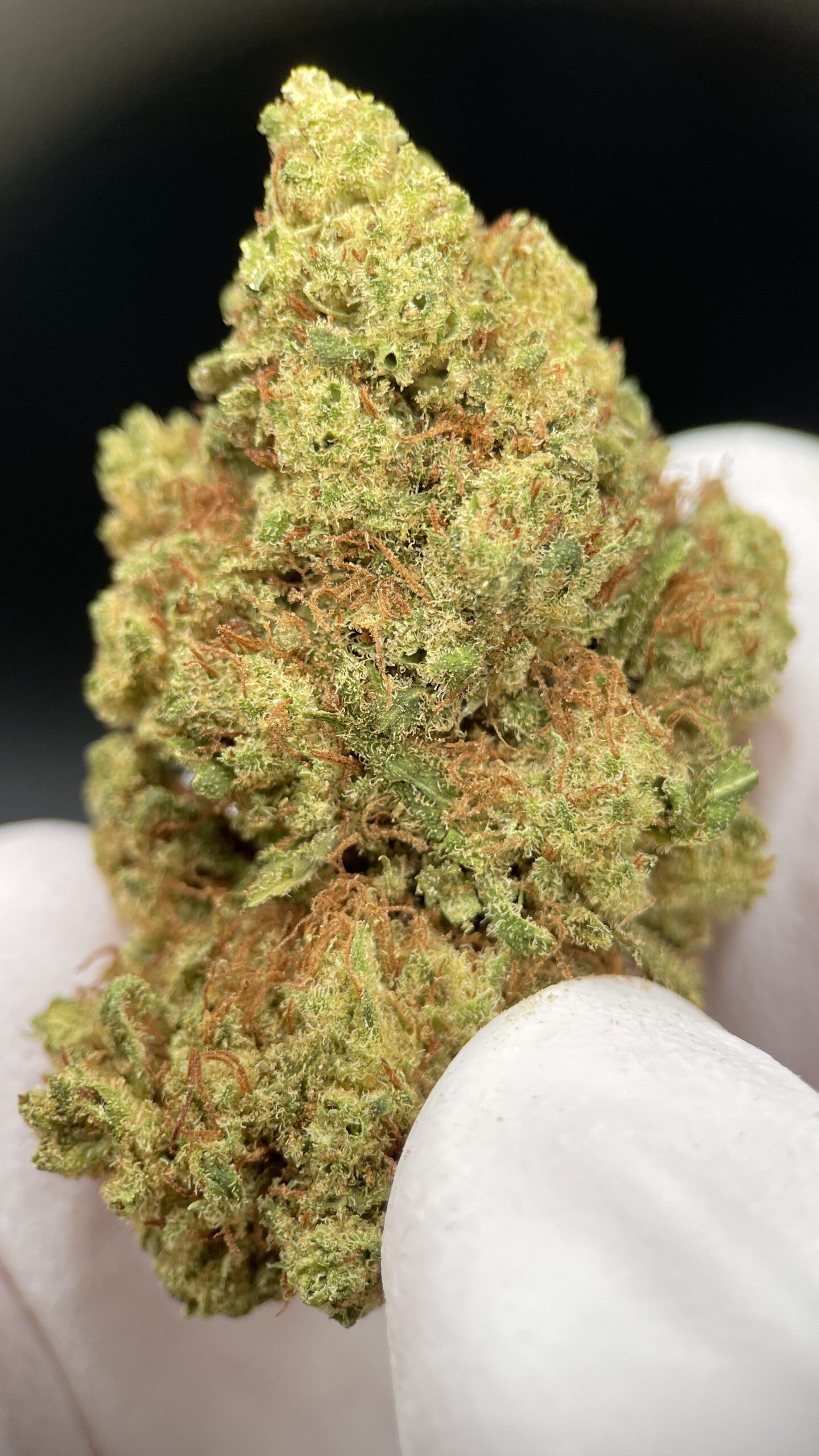 Mano enguantada mostrando Super LEmno Haze