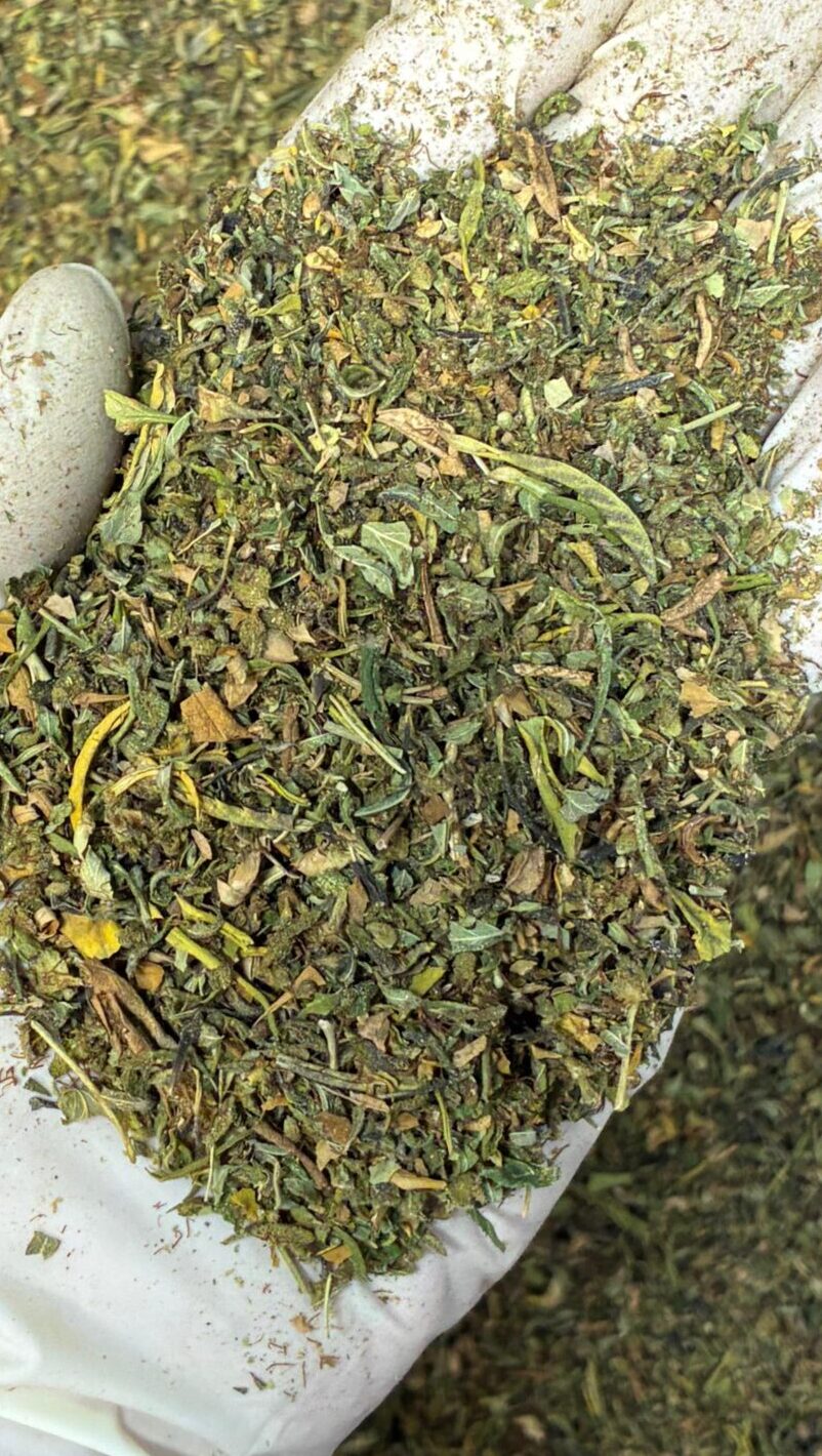 Trim CBD Superior Indoor
