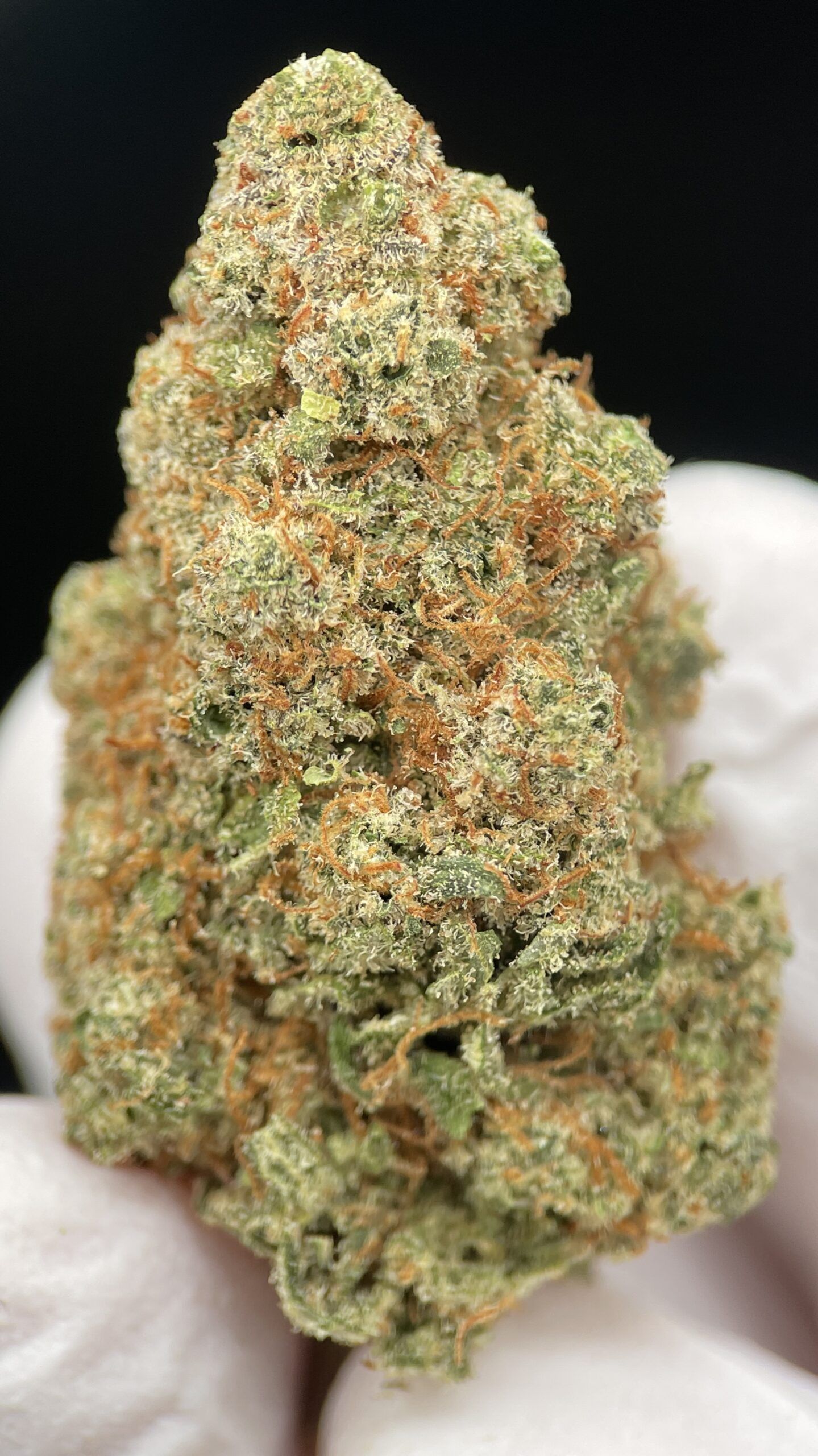 Gelonade CBD