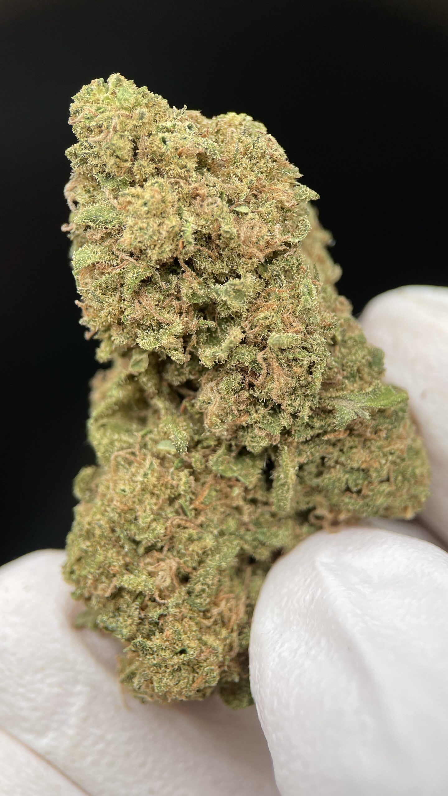Tropical Runtz CBD