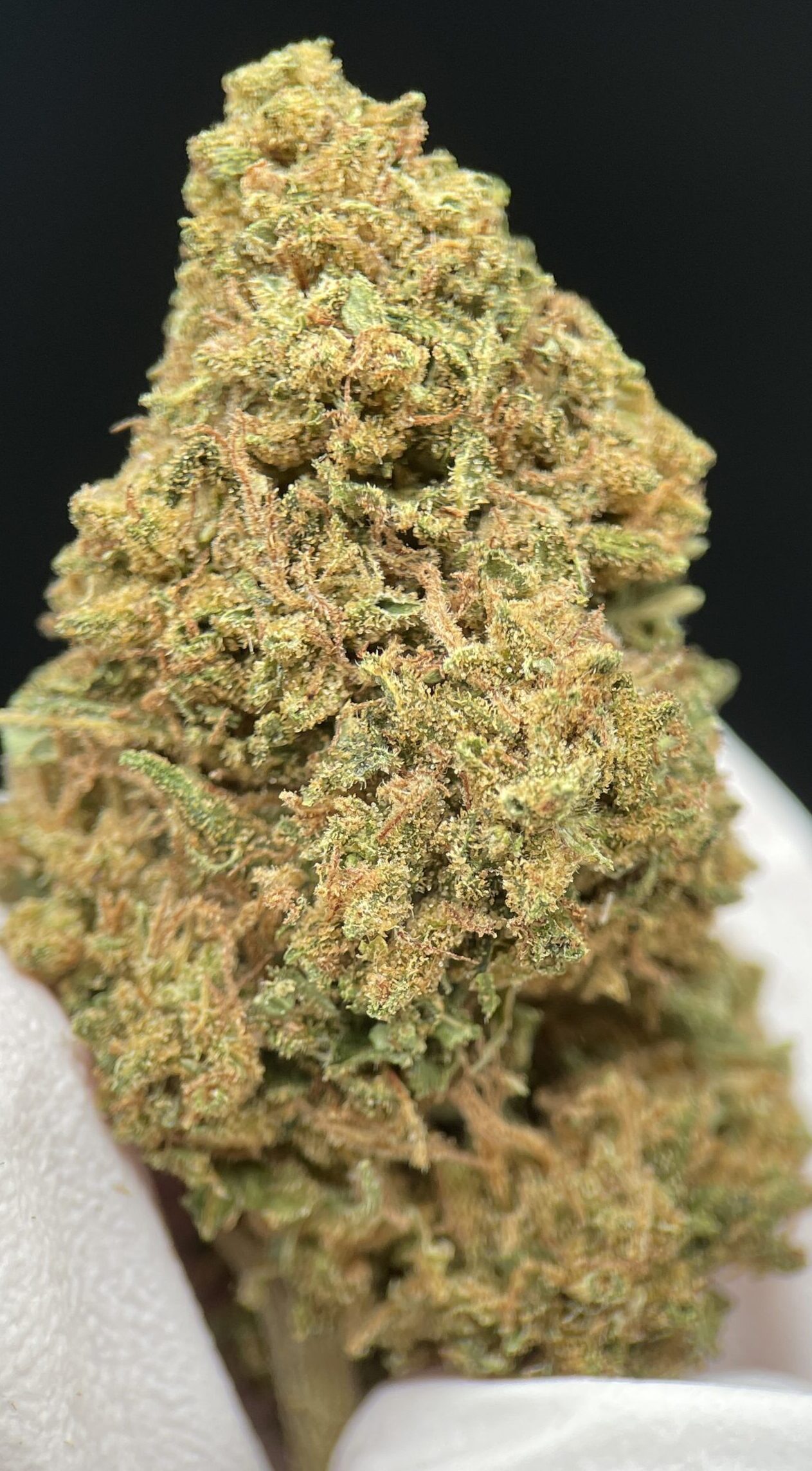 Buddha Caramel CBD