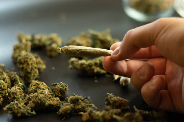 motivos para usar cbd