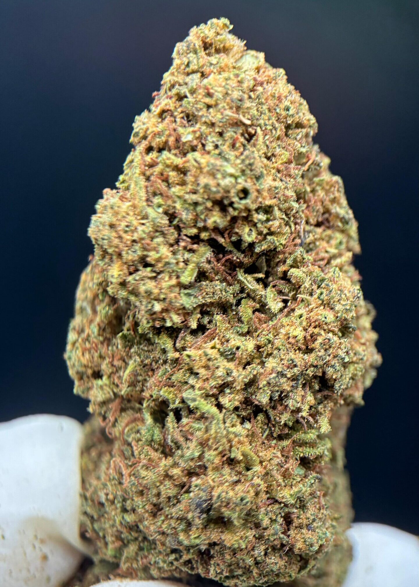 Dosidos CBD