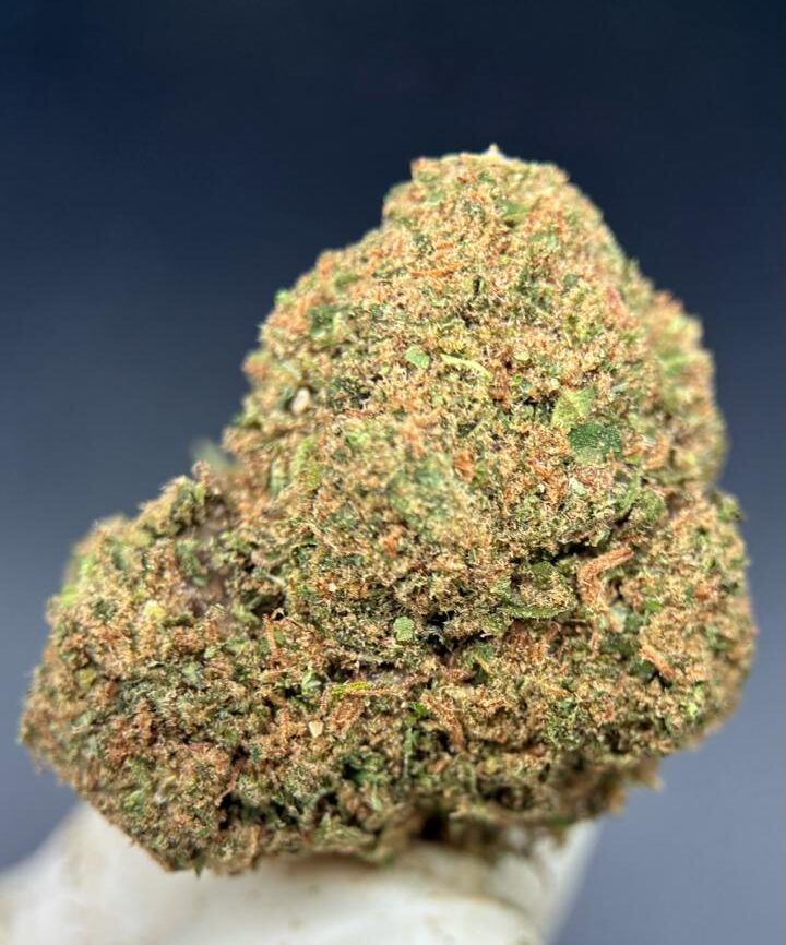 Gorilla Glue CBD Invernadero